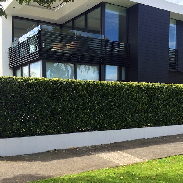 Installation complete, hedge trimmed, privacy achieved