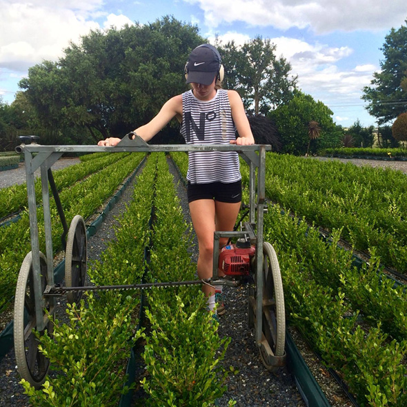 Sophie hedge trimming