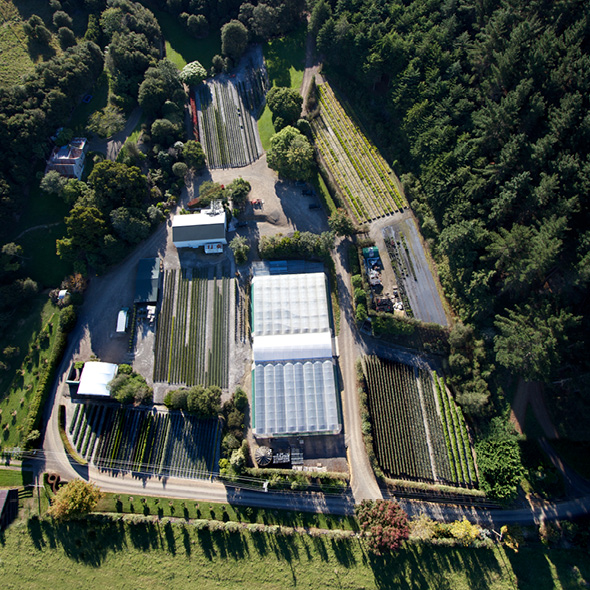 Aerial view of the home nursery