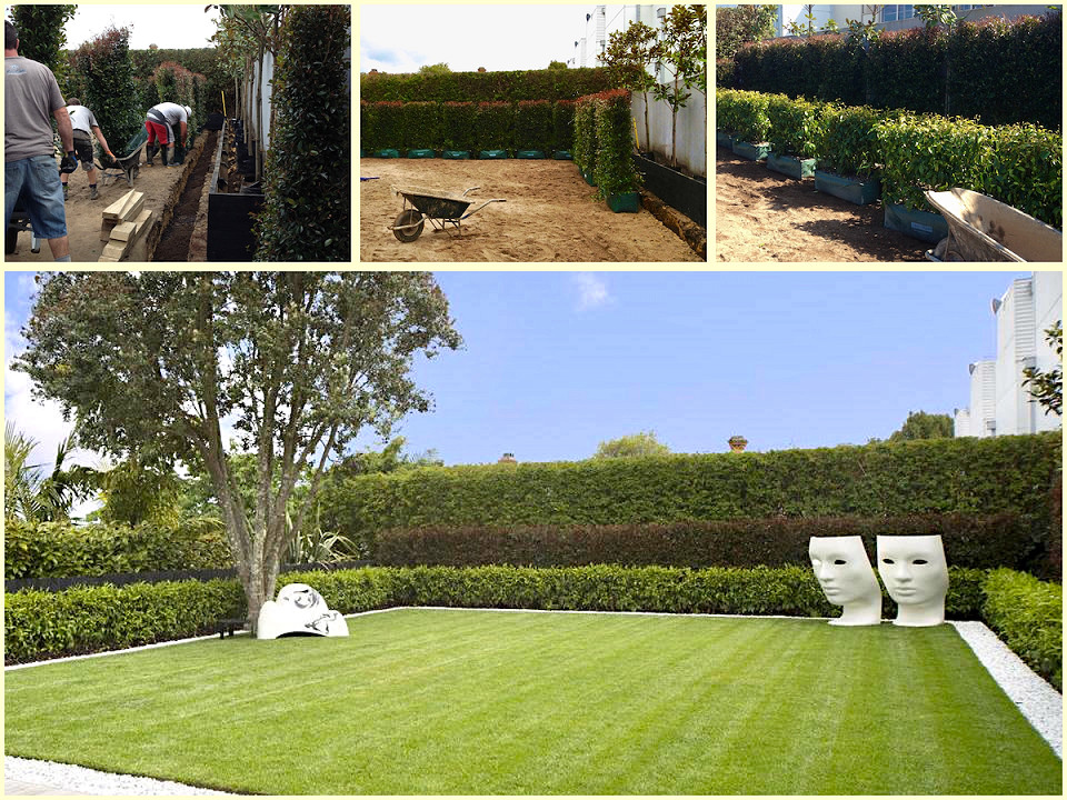 Living Walls™ hedge lengths during installation and the completed contemporary garden with layered hedges and white sculptures.