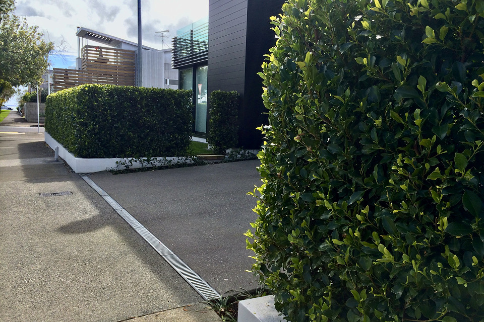 hedge