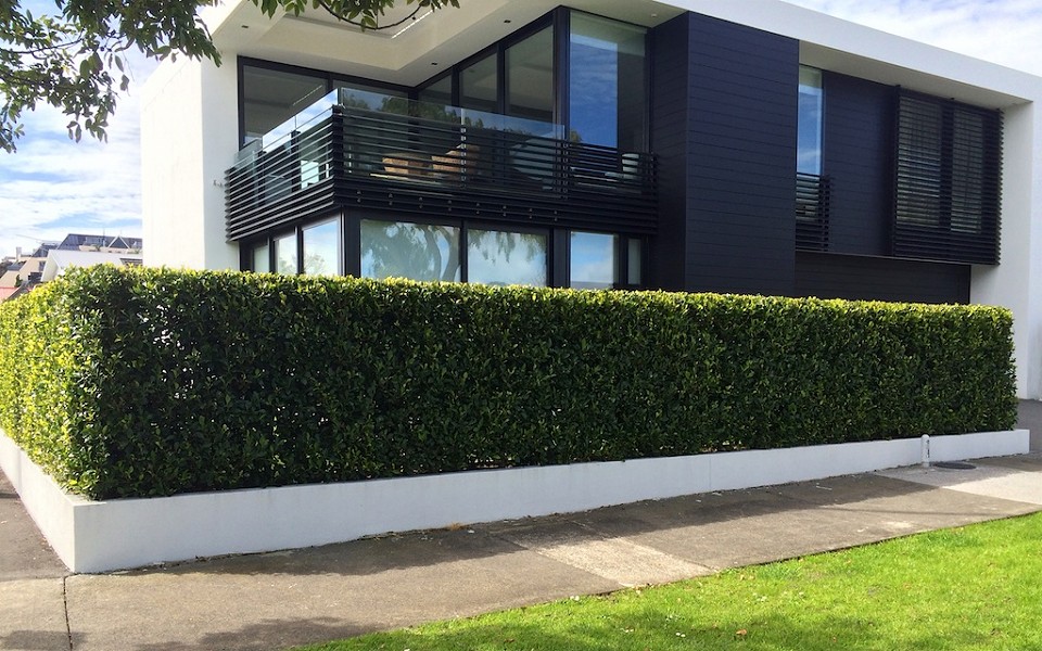Fast & Simple Instant Hedge Installation－landscaping for residential project