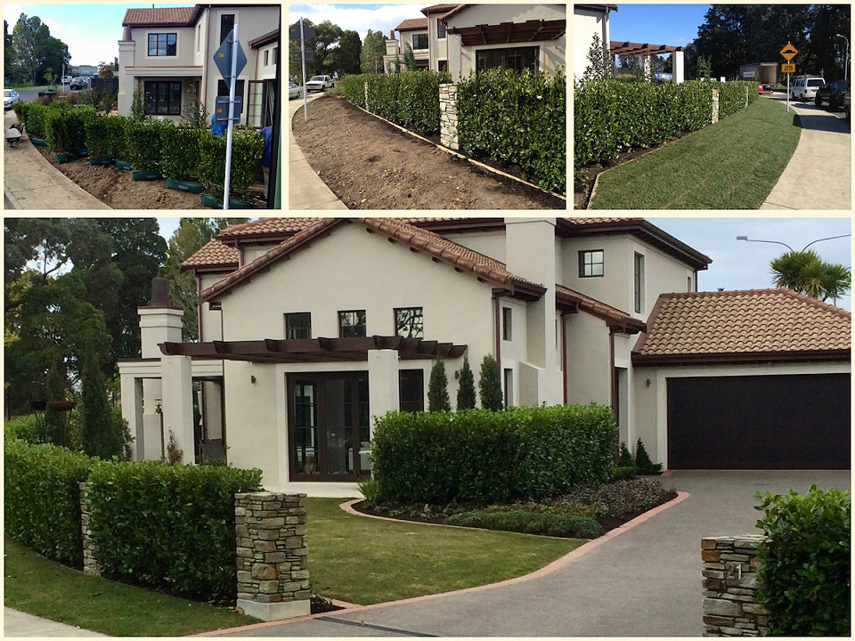 Living Walls™ hedge lengths being installed around a showhome and the established frontage 16 months later.